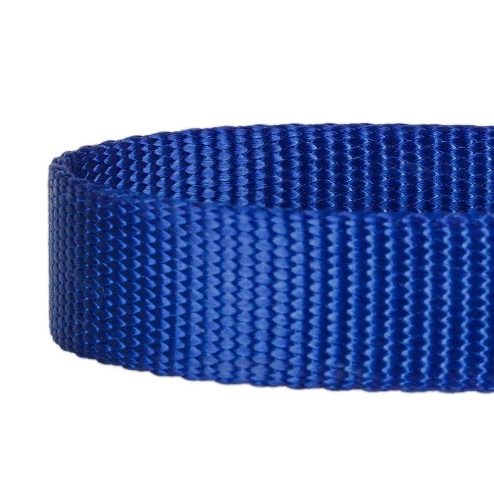Nylon Personalized Martingale Safety Training Dog Collar Blue for Puppy S M L Boy Girl