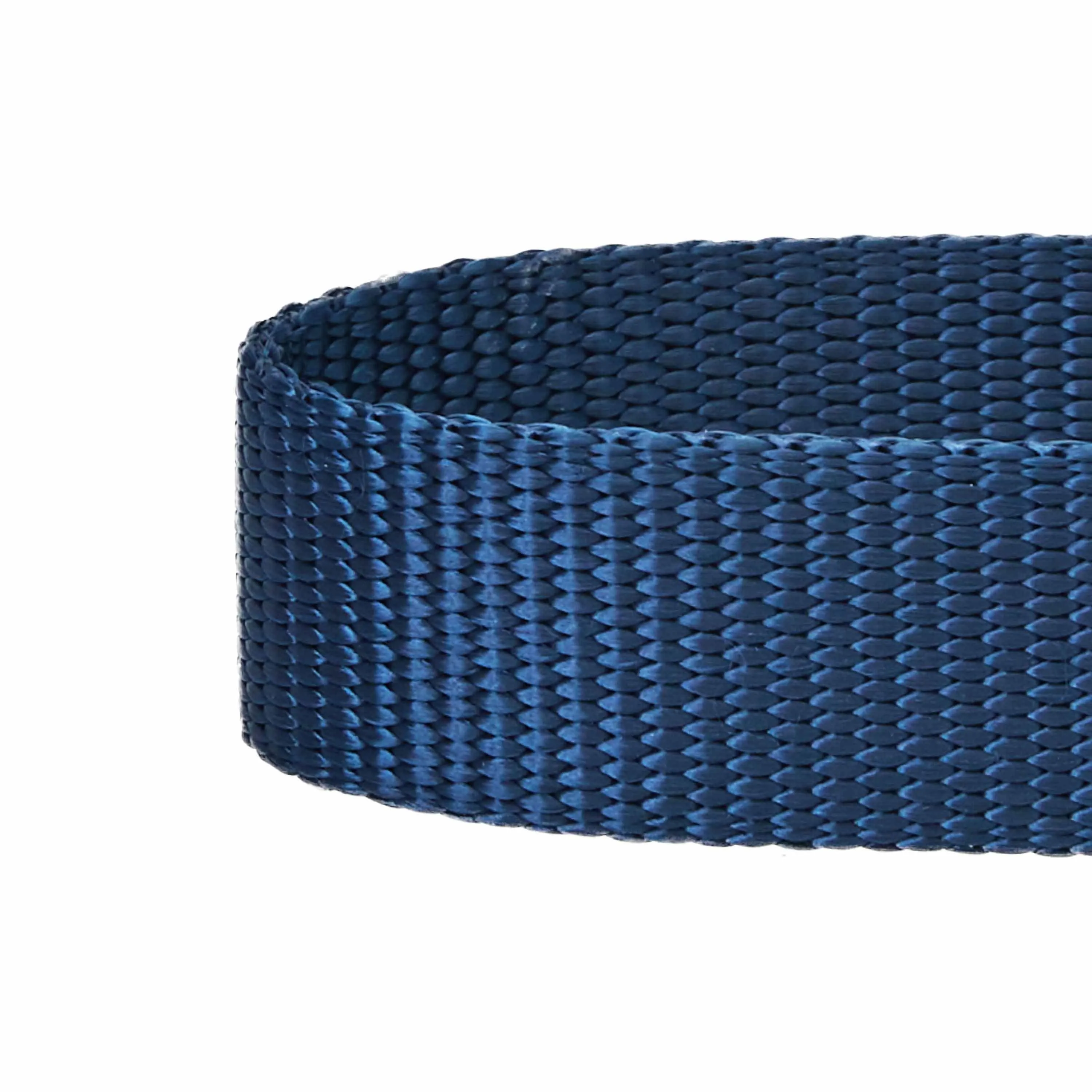 Nylon Personalized Martingale Safety Training Dog Collar Blue for Puppy S M L Boy Girl