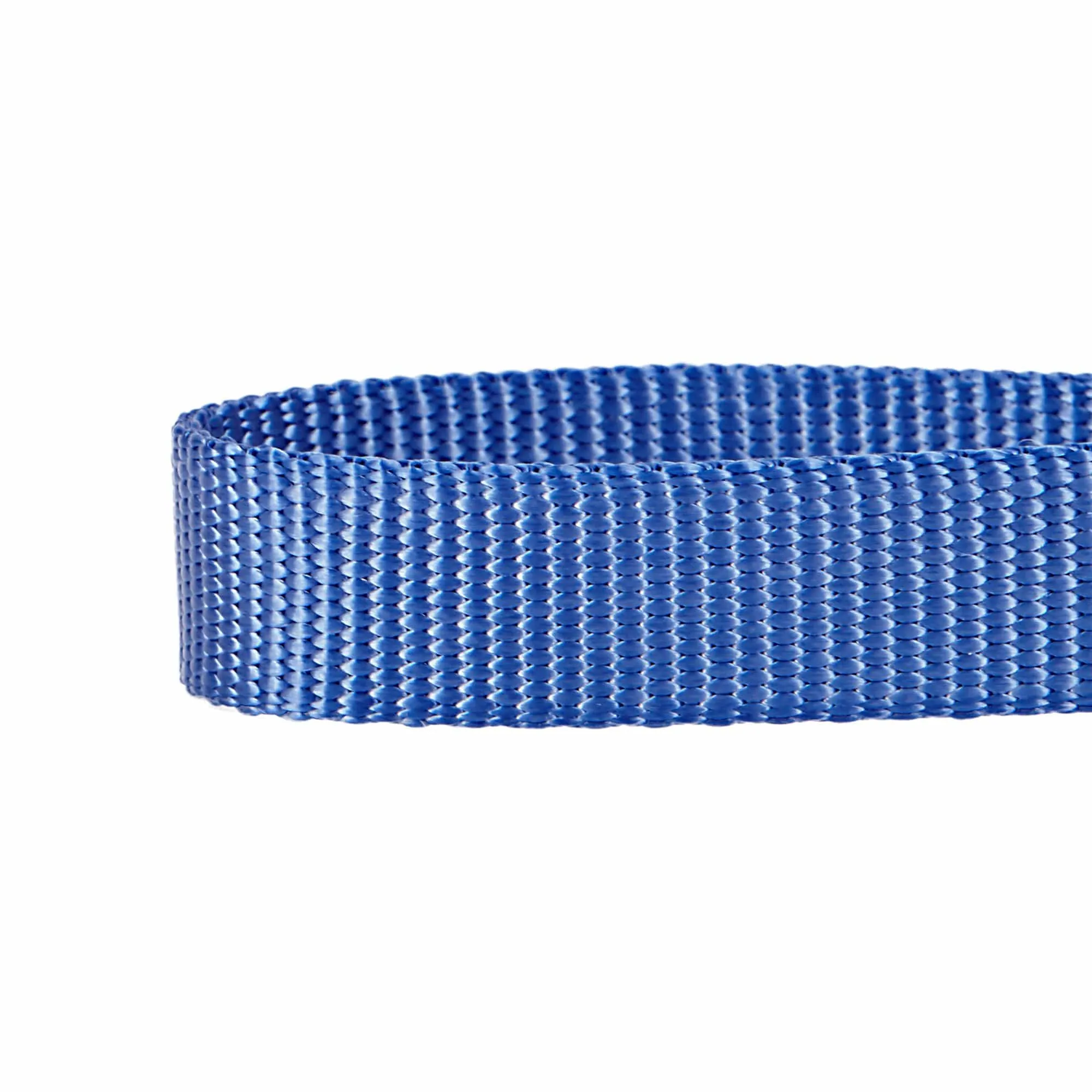 Nylon Personalized Martingale Safety Training Dog Collar Blue for Puppy S M L Boy Girl