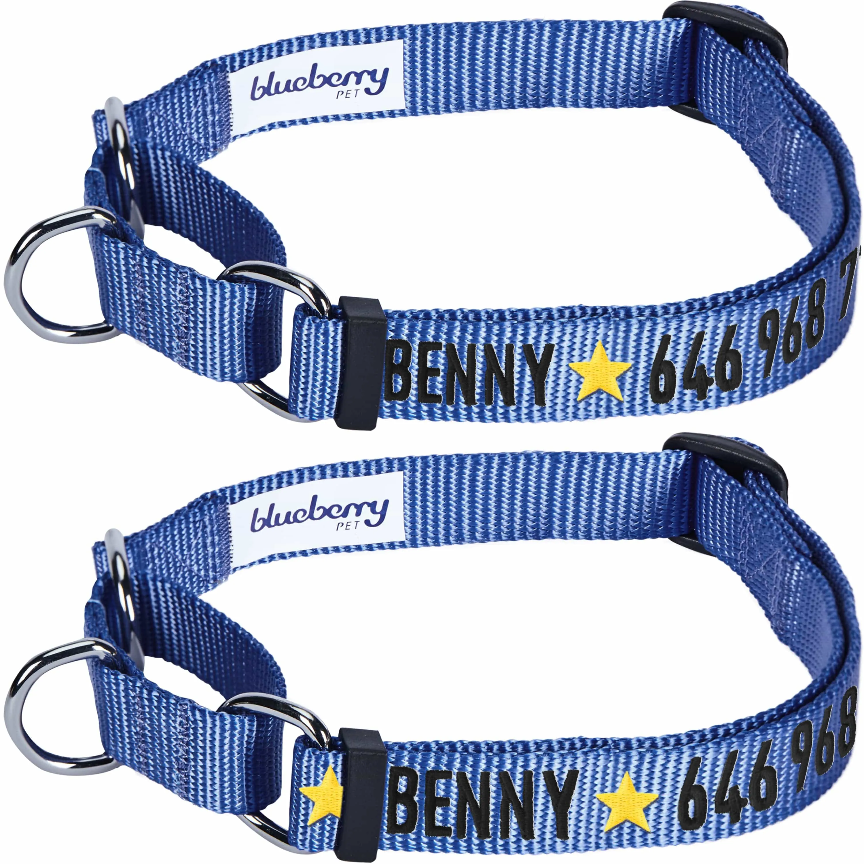 Nylon Personalized Martingale Safety Training Dog Collar Blue for Puppy S M L Boy Girl