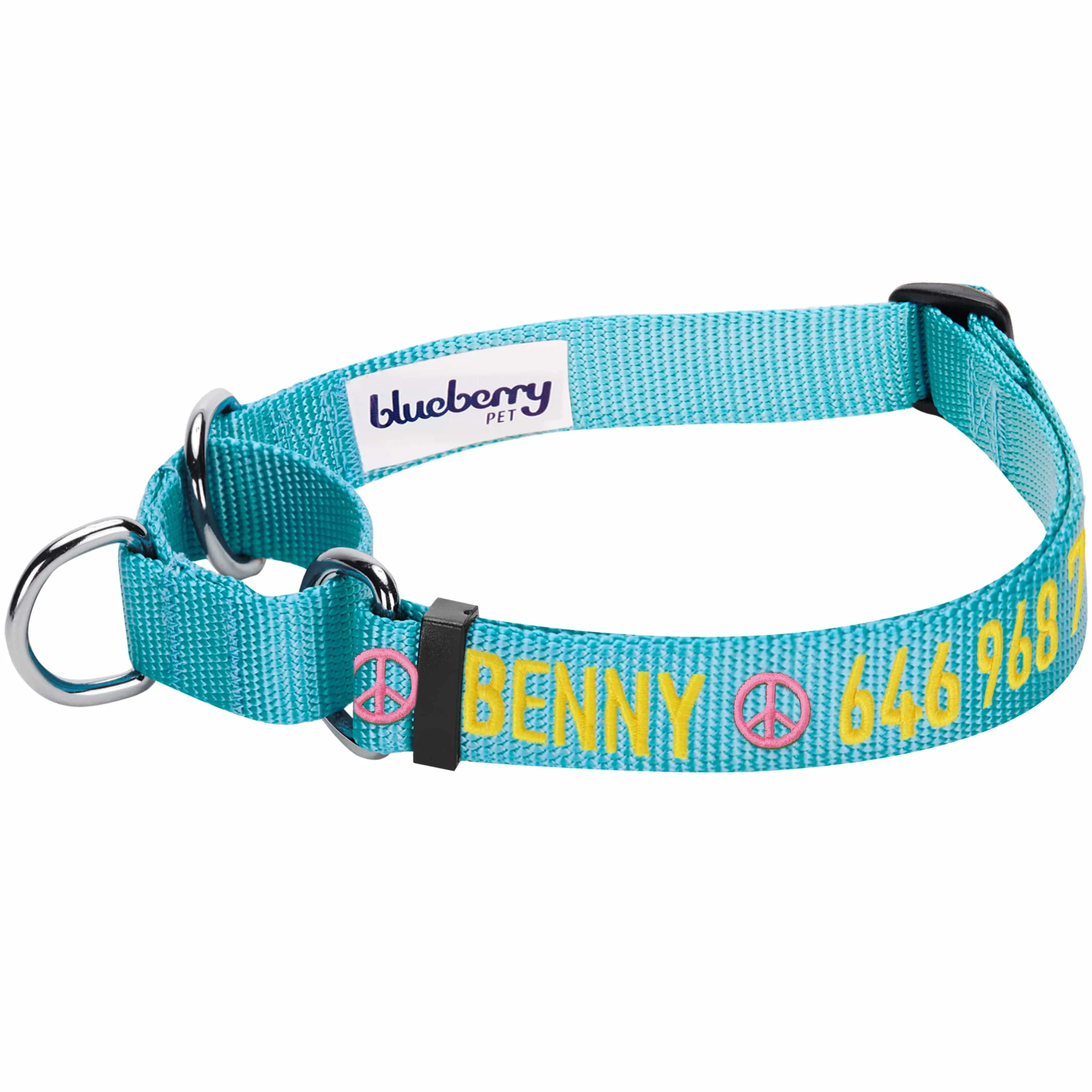 Nylon Personalized Martingale Safety Training Dog Collar Blue for Puppy S M L Boy Girl