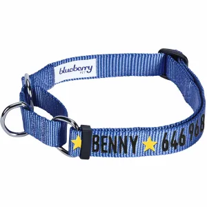 Nylon Personalized Martingale Safety Training Dog Collar Blue for Puppy S M L Boy Girl