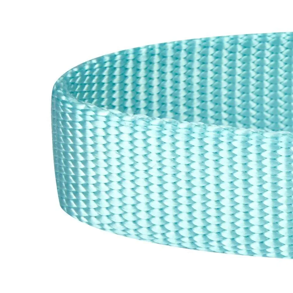Nylon Personalized Martingale Safety Training Dog Collar Blue for Puppy S M L Boy Girl