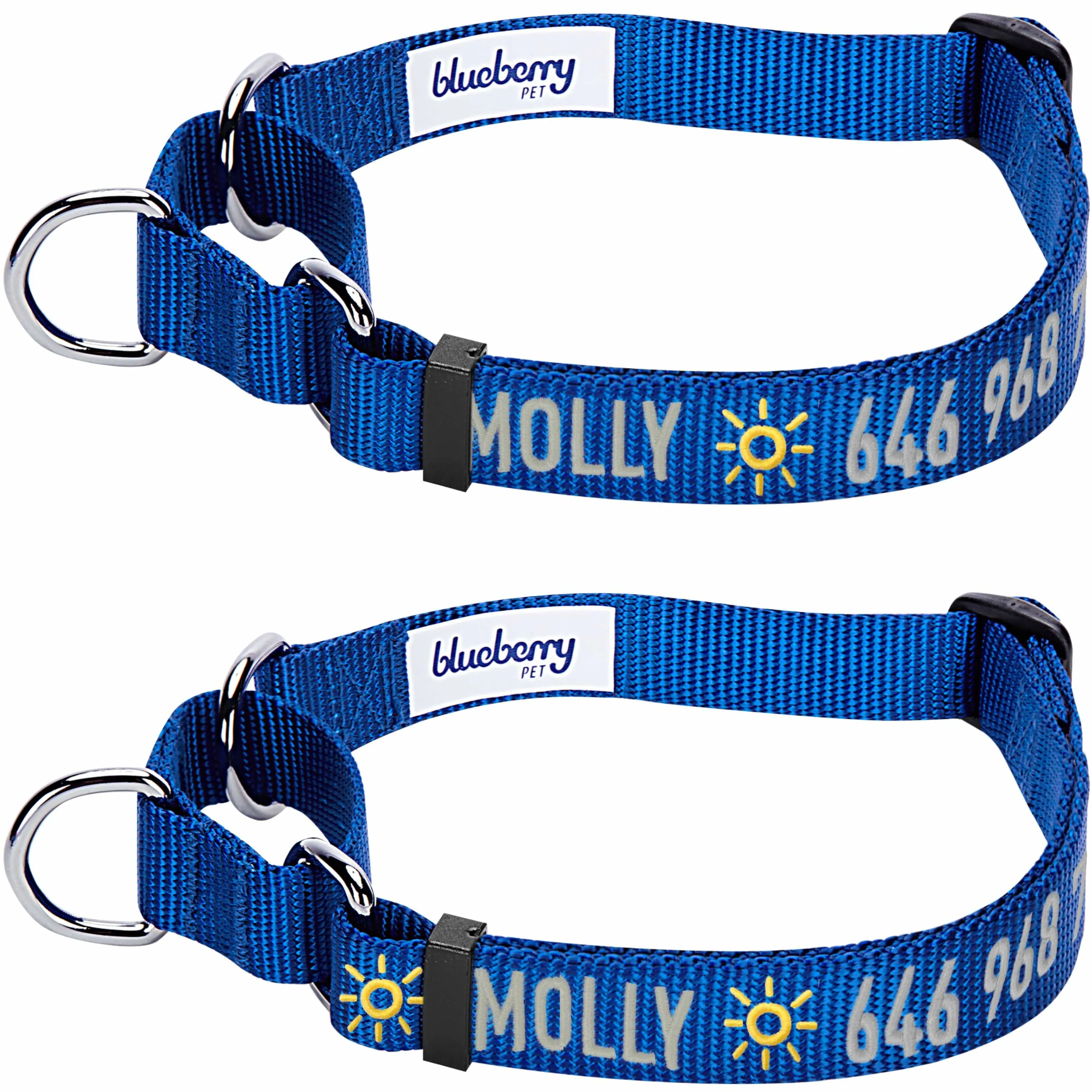 Nylon Personalized Martingale Safety Training Dog Collar Blue for Puppy S M L Boy Girl
