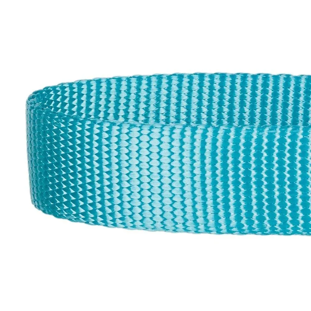 Nylon Personalized Martingale Safety Training Dog Collar Blue for Puppy S M L Boy Girl