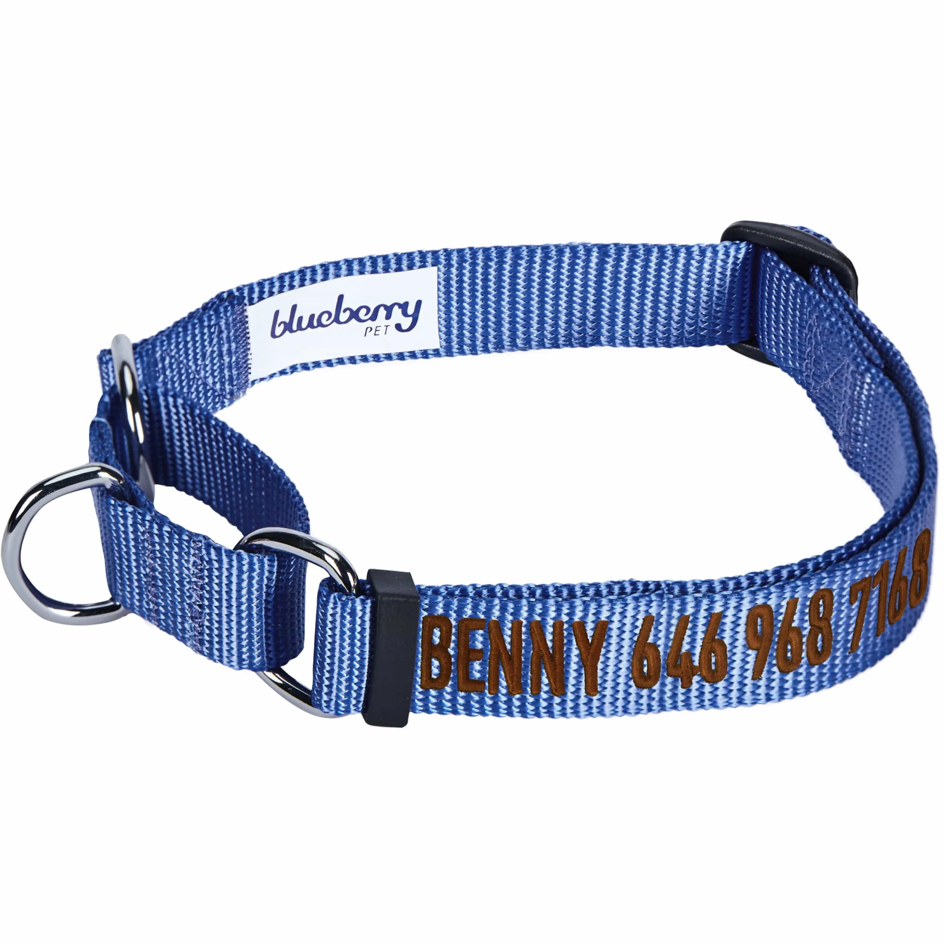 Nylon Personalized Martingale Safety Training Dog Collar Blue for Puppy S M L Boy Girl
