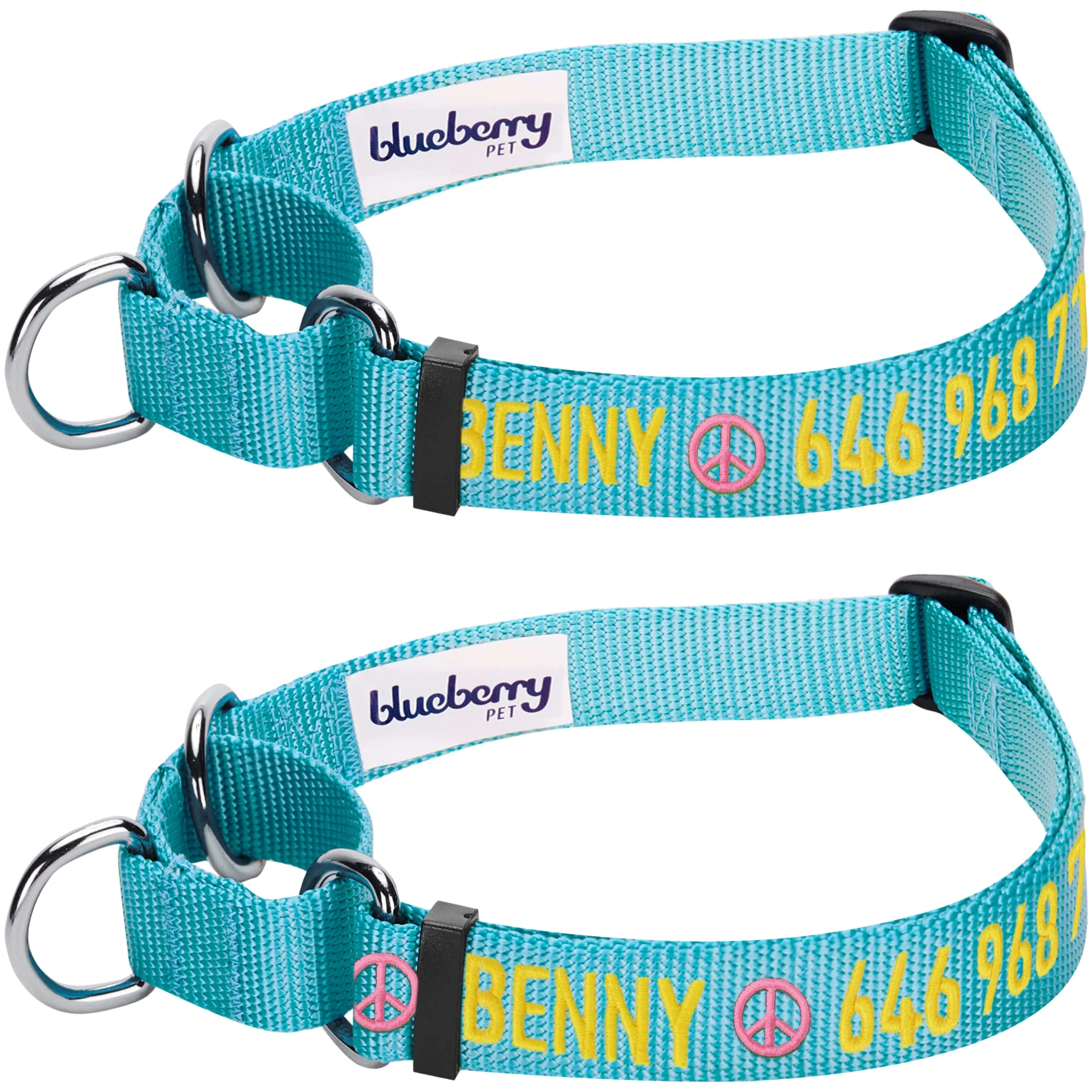 Nylon Personalized Martingale Safety Training Dog Collar Blue for Puppy S M L Boy Girl