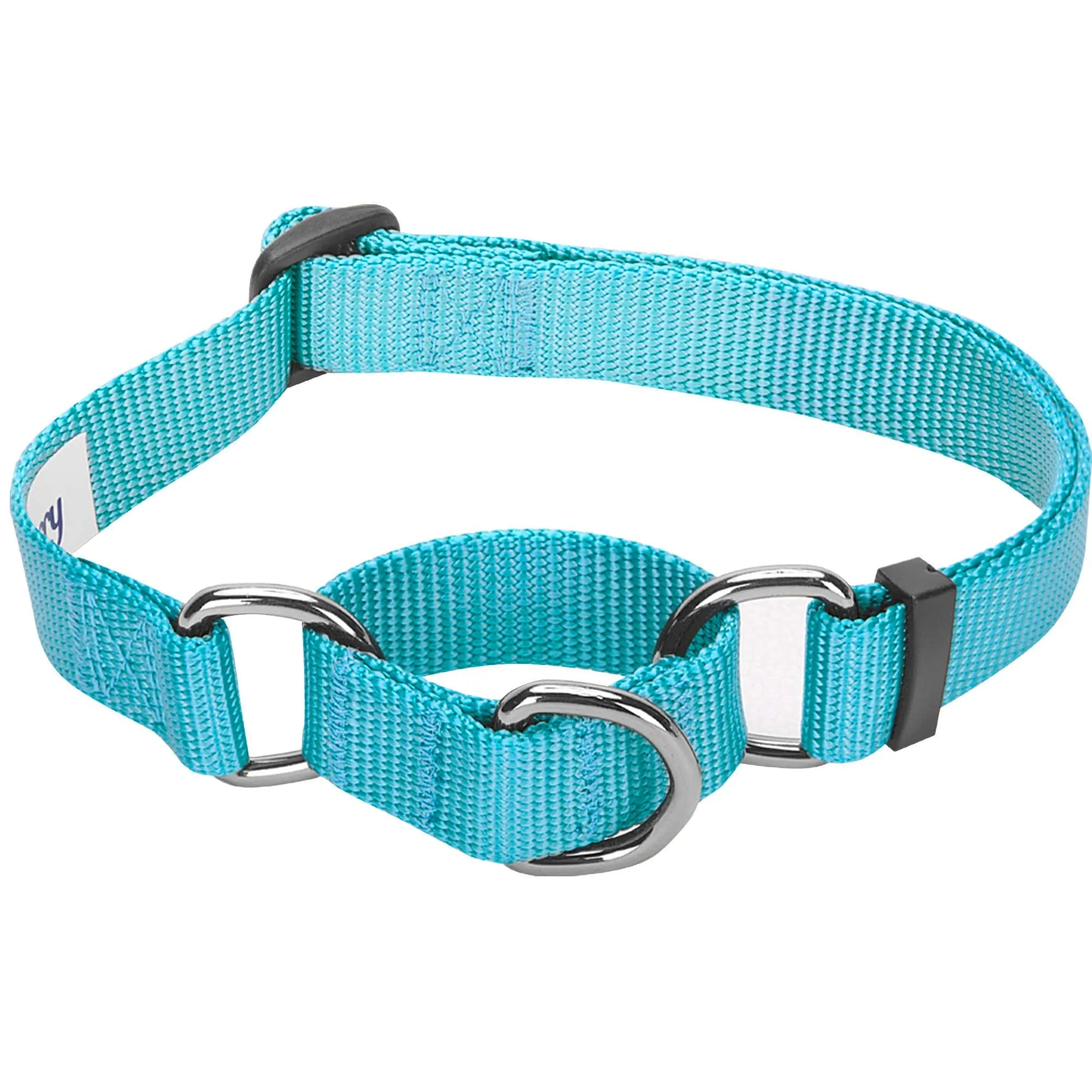 Nylon Personalized Martingale Safety Training Dog Collar Blue for Puppy S M L Boy Girl
