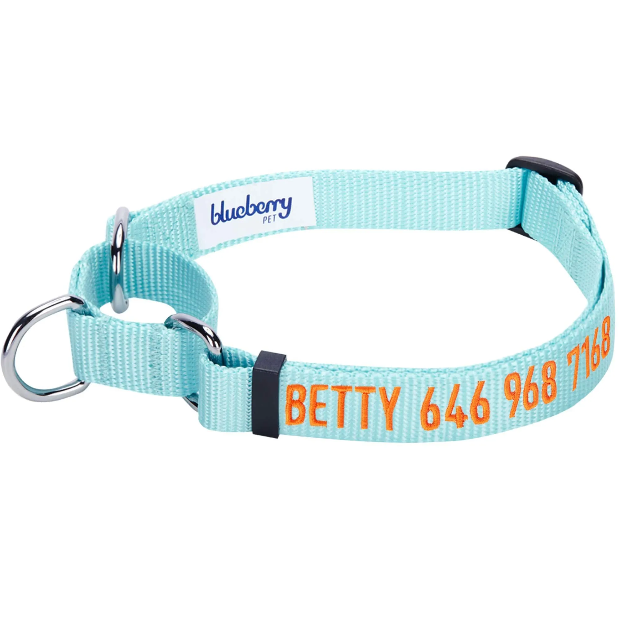 Nylon Personalized Martingale Safety Training Dog Collar Blue for Puppy S M L Boy Girl
