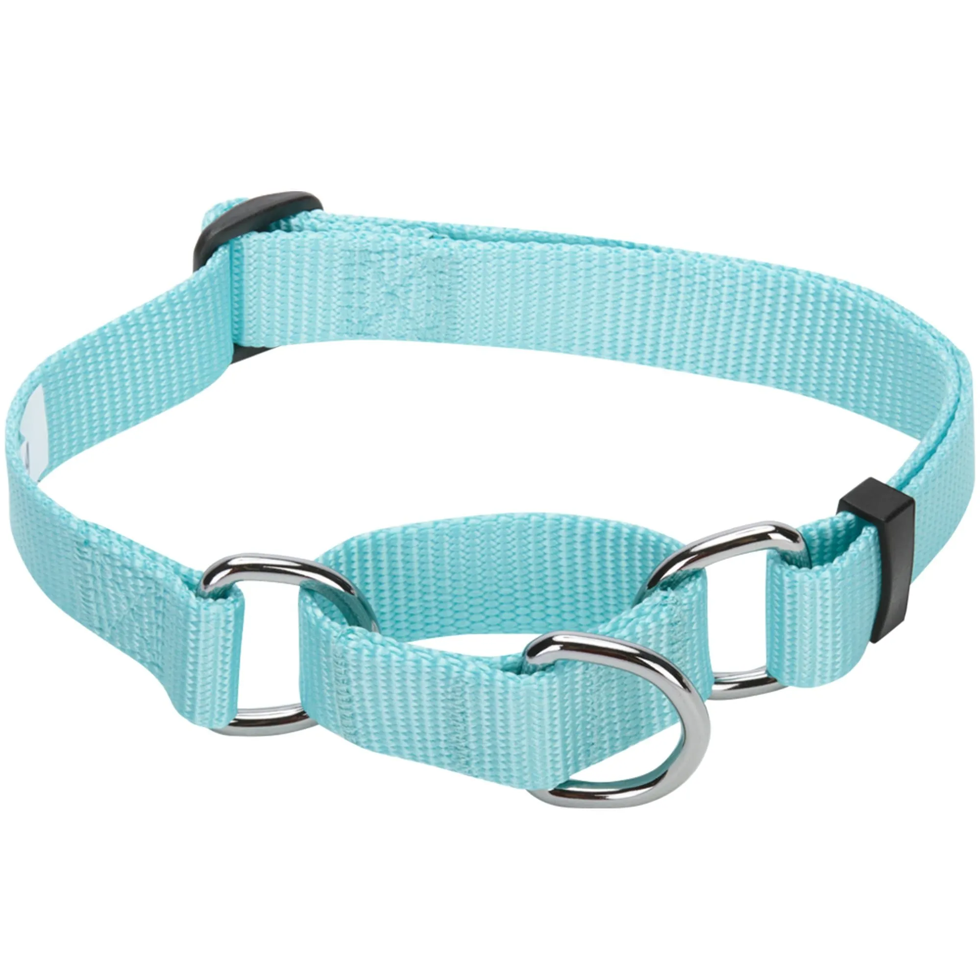 Nylon Personalized Martingale Safety Training Dog Collar Blue for Puppy S M L Boy Girl