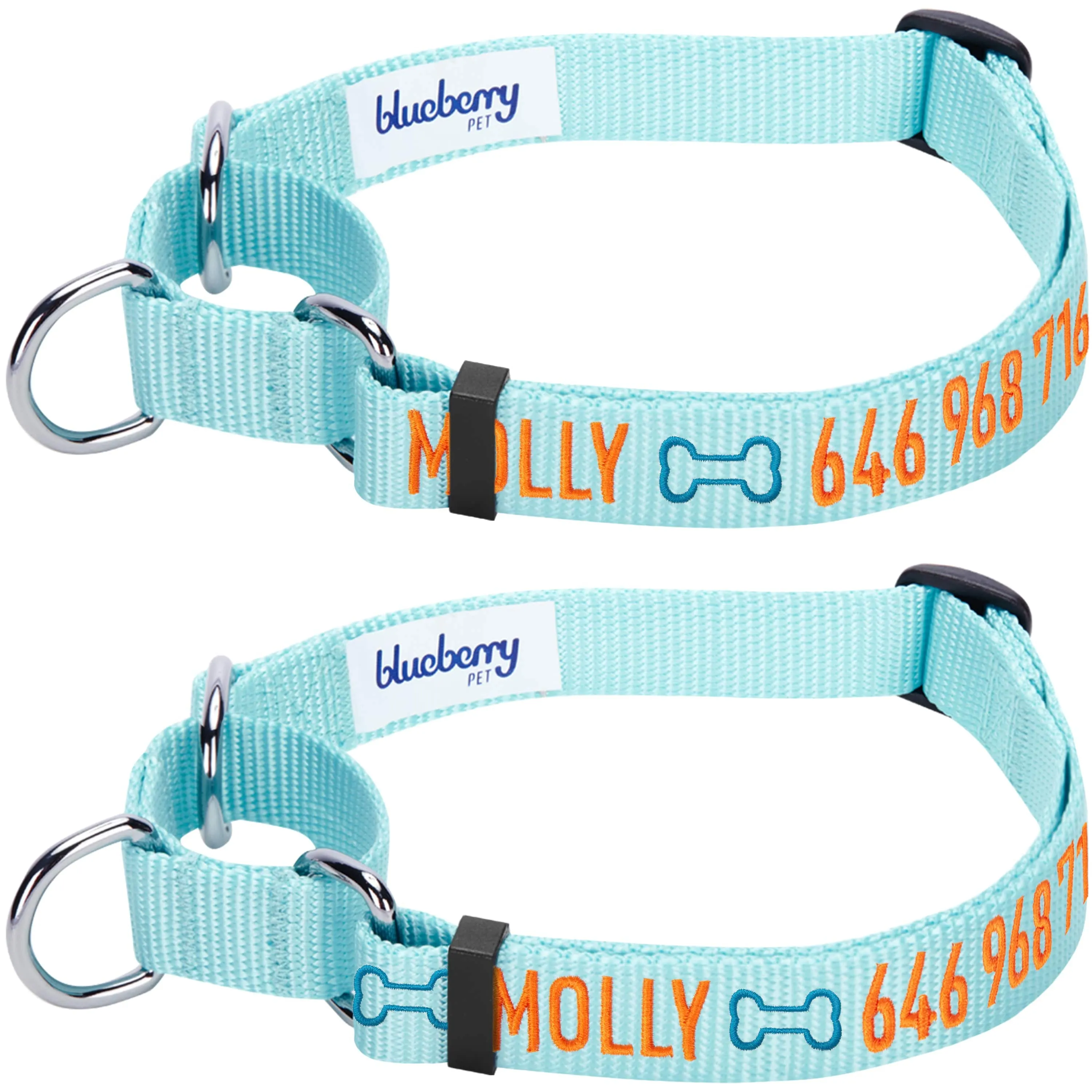 Nylon Personalized Martingale Safety Training Dog Collar Blue for Puppy S M L Boy Girl