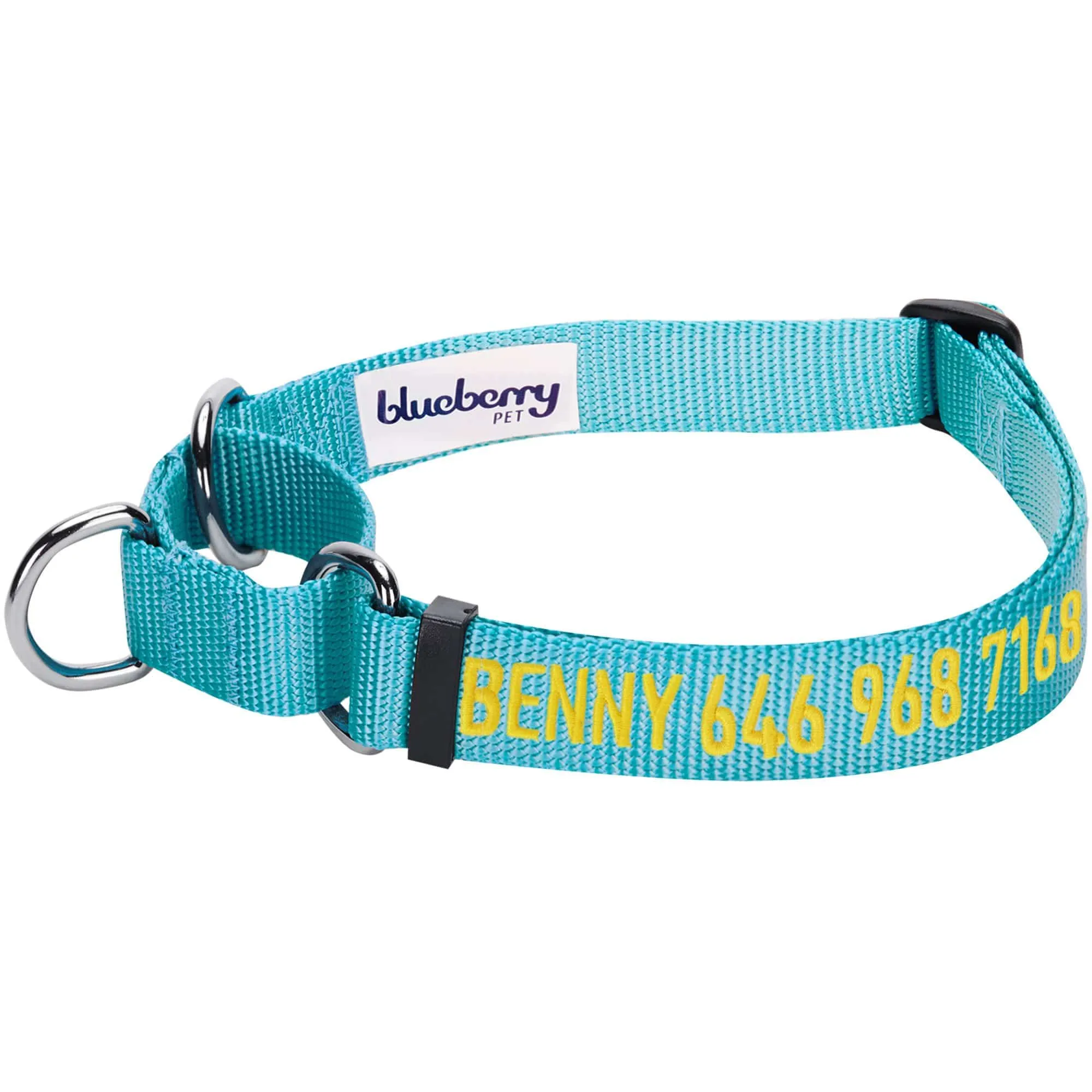 Nylon Personalized Martingale Safety Training Dog Collar Blue for Puppy S M L Boy Girl