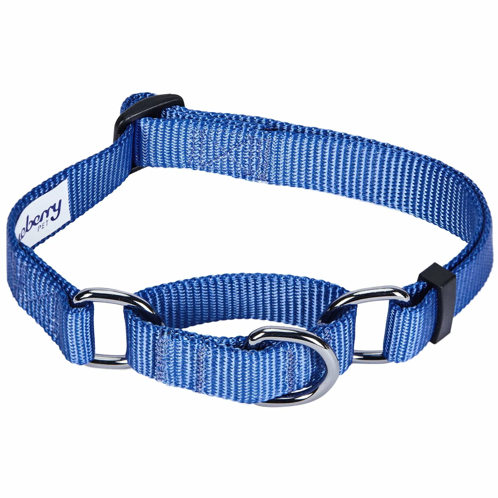 Nylon Personalized Martingale Safety Training Dog Collar Blue for Puppy S M L Boy Girl