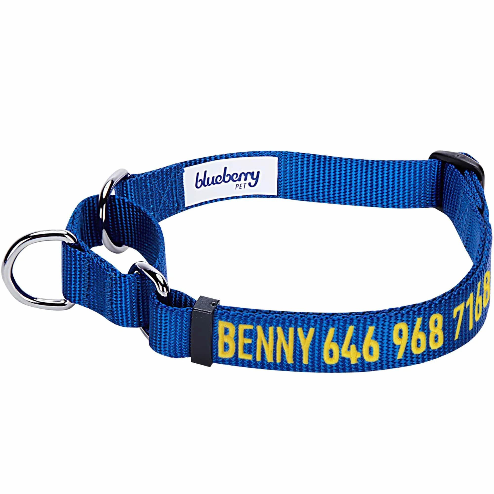 Nylon Personalized Martingale Safety Training Dog Collar Blue for Puppy S M L Boy Girl
