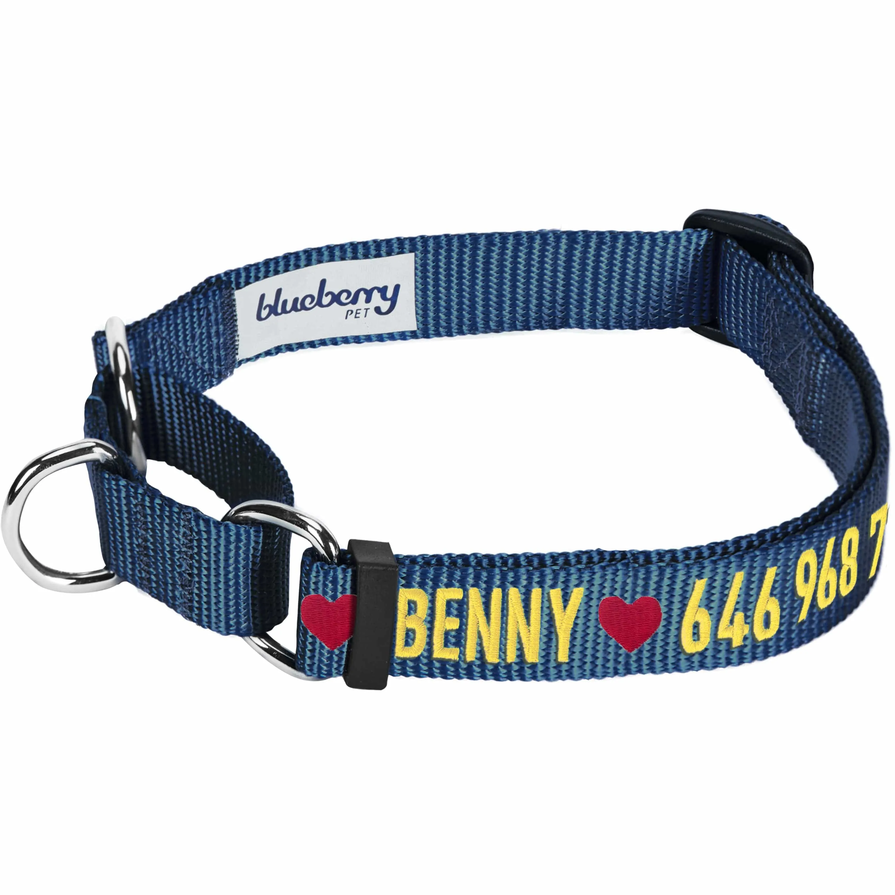 Nylon Personalized Martingale Safety Training Dog Collar Blue for Puppy S M L Boy Girl