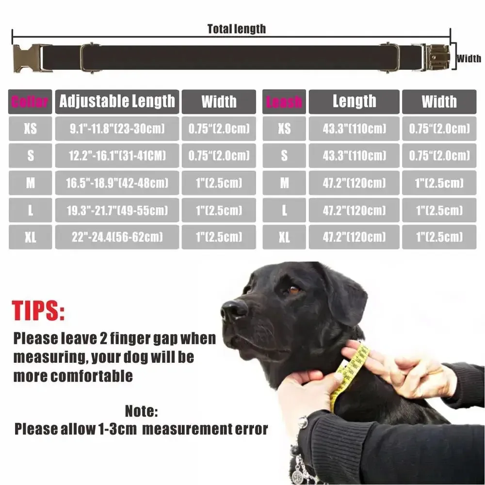 Personalized Dog Collar with Free Engraving | Customzied Metal Buckle Christmas Snowflower Collar and Leash Set