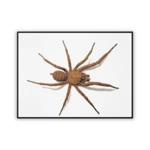Pet Mat (18" x 24") AL BLUE DESIGNED BROWN SPIDER
