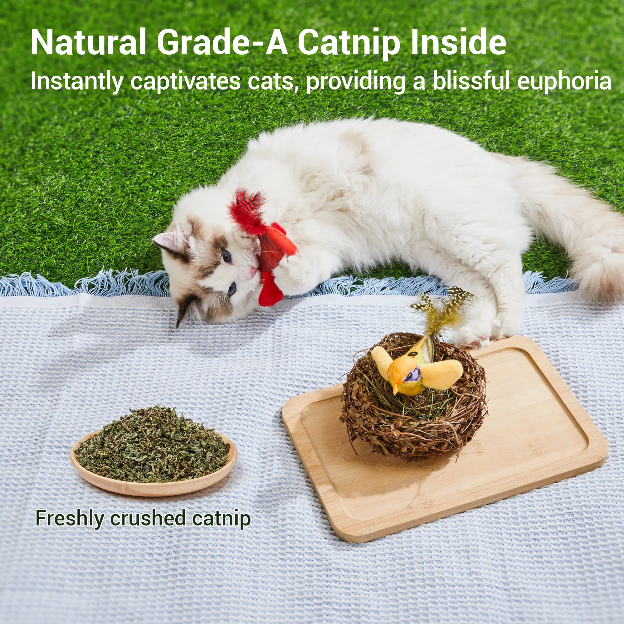 Potaroma Chirping Birds Cat Toys 2 Pcs: Northern Cardinal & Silver-throated Tanager