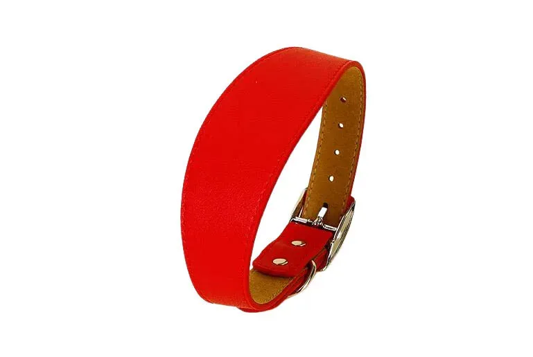 Premium Leather Dog Collar for Sighthounds and Dachshunds