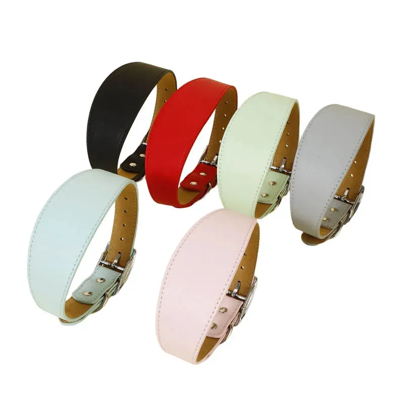 Premium Leather Dog Collar for Sighthounds and Dachshunds