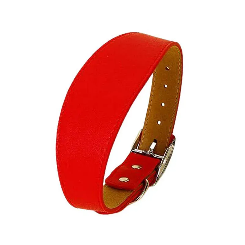 Premium Leather Dog Collar for Sighthounds and Dachshunds