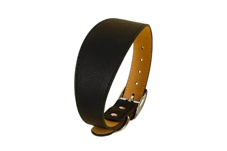 Premium Leather Dog Collar for Sighthounds and Dachshunds