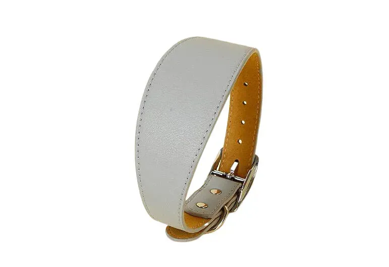 Premium Leather Dog Collar for Sighthounds and Dachshunds