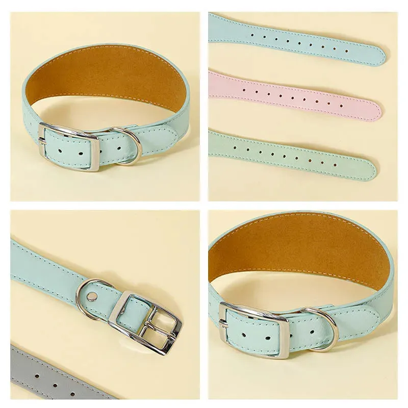 Premium Leather Dog Collar for Sighthounds and Dachshunds