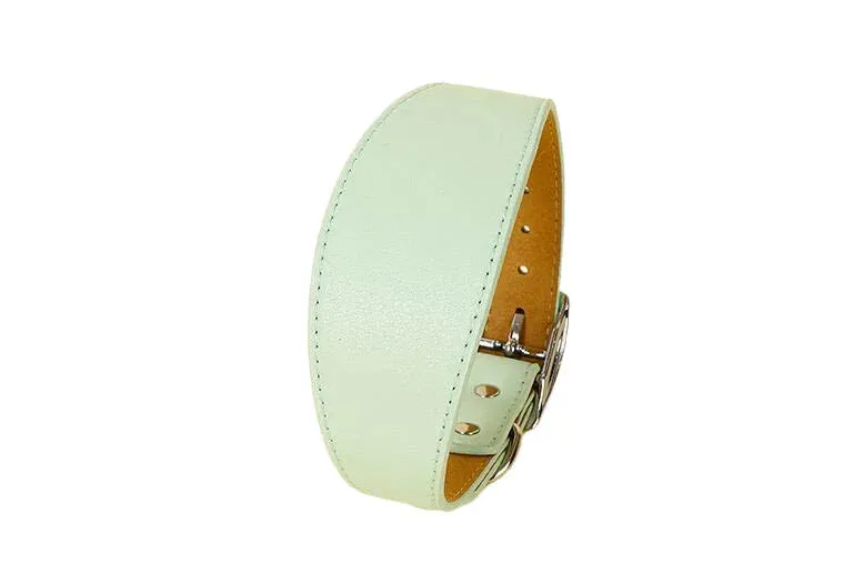 Premium Leather Dog Collar for Sighthounds and Dachshunds