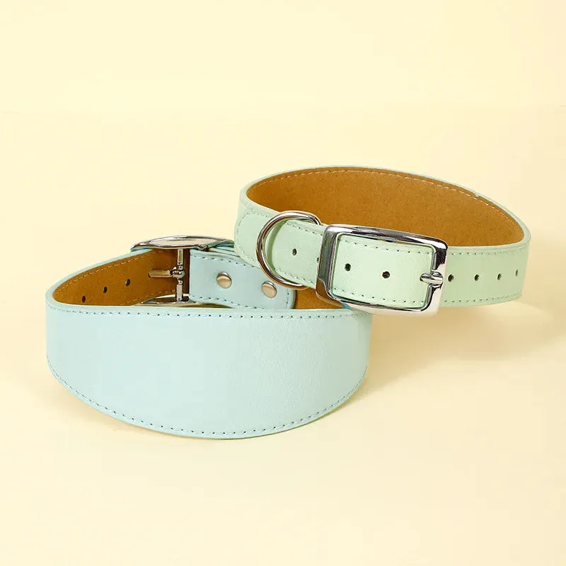 Premium Leather Dog Collar for Sighthounds and Dachshunds