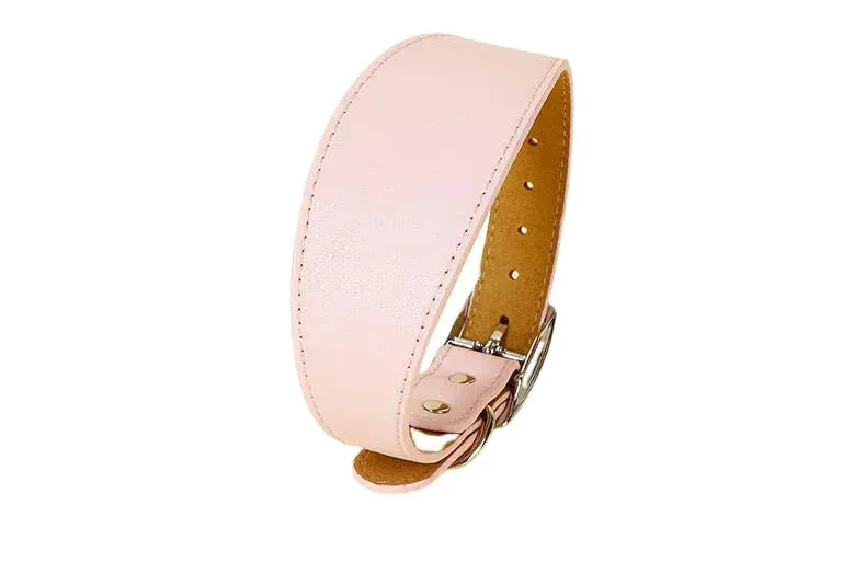 Premium Leather Dog Collar for Sighthounds and Dachshunds