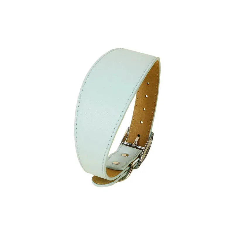 Premium Leather Dog Collar for Sighthounds and Dachshunds