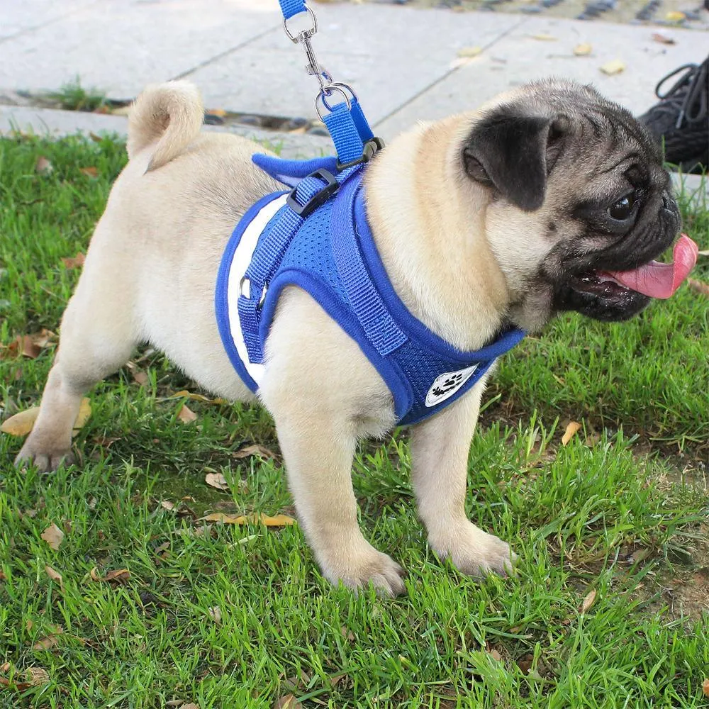 Reflective Small Dog Harness and Leash Set Soft Breathable Chihuahua Puppy Harness Vest Lead for Small Medium Dogs Bulldog