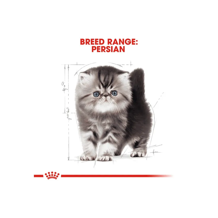 Royal Canin Persian Kitten Dry Cat Food