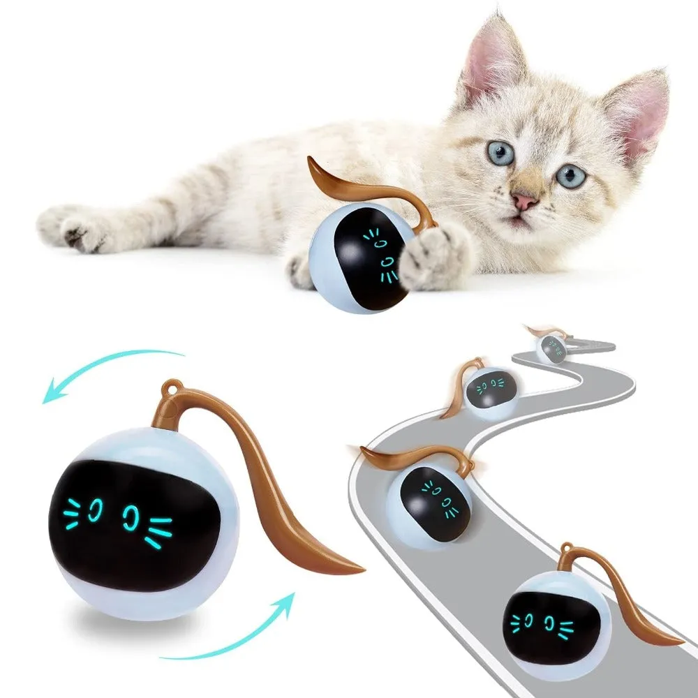 Selfplay Cat Toy
