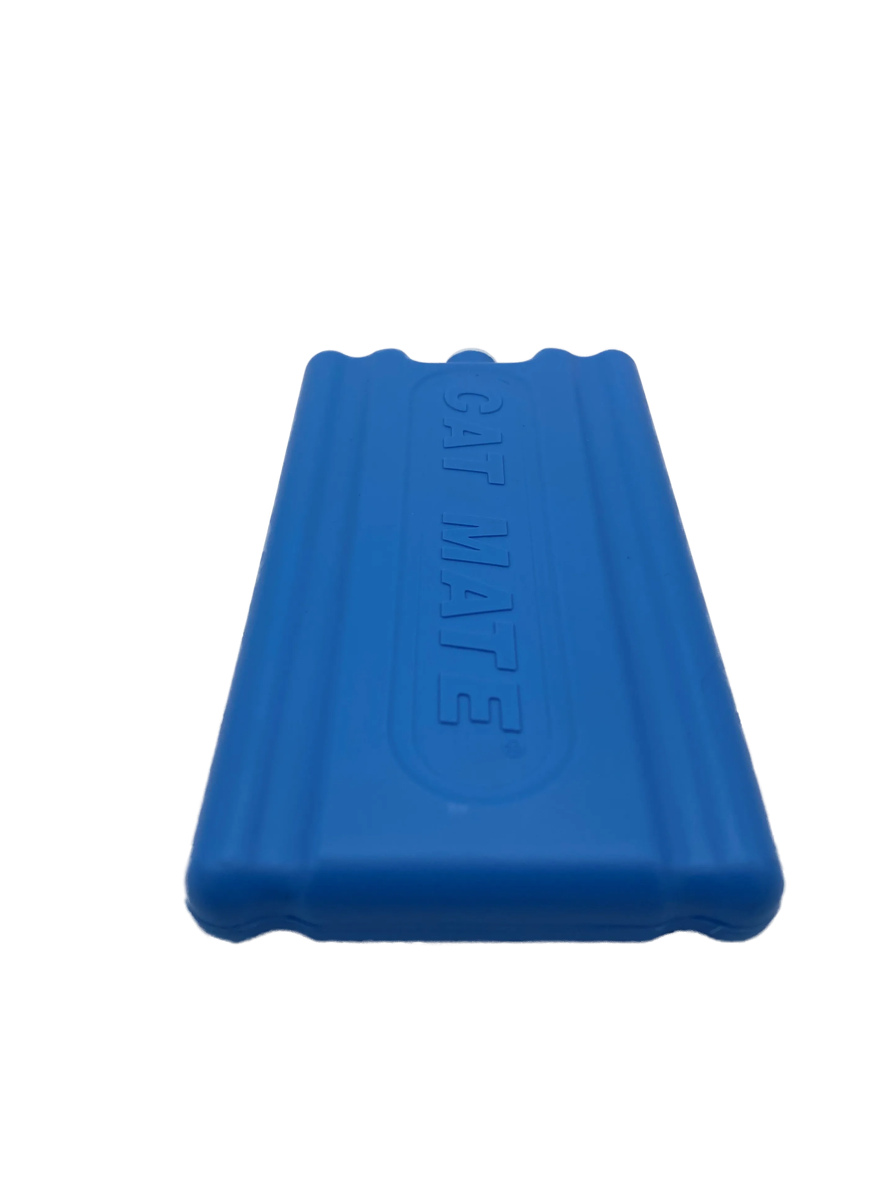 Single Replacement Ice Pack: C20, C50 and Two-meal Automatic Pet Feeder (900)