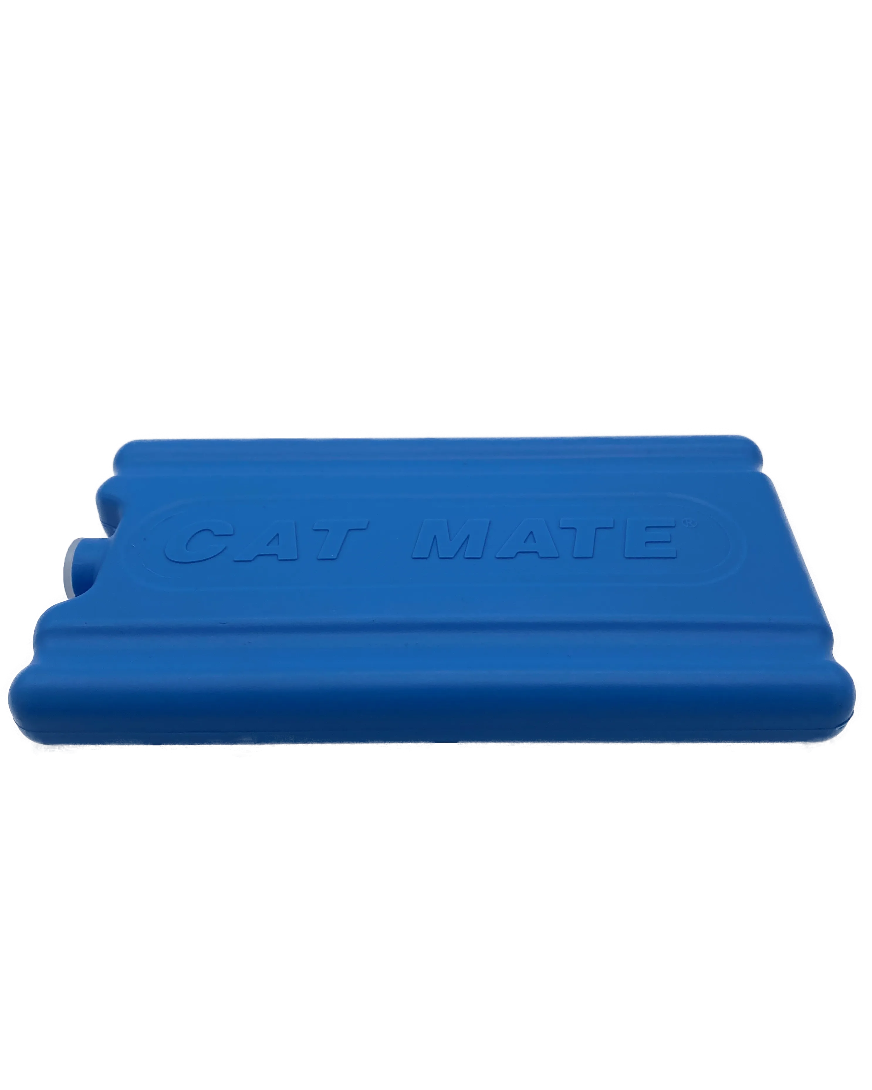 Single Replacement Ice Pack: C20, C50 and Two-meal Automatic Pet Feeder (900)