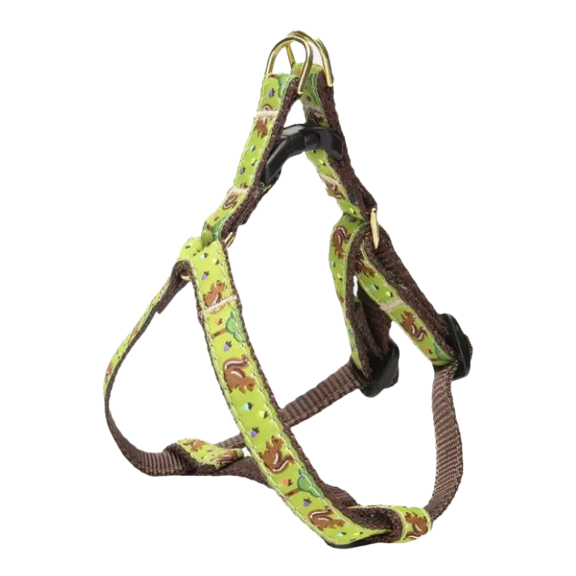 Teacup Harness | Nuts!