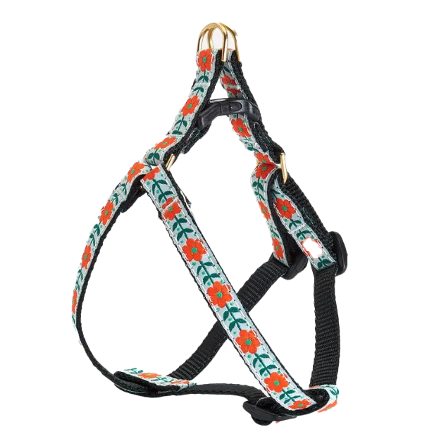 Teacup Harness | Orange You Pretty