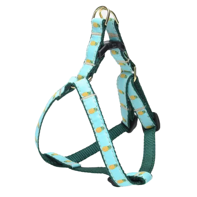 Teacup Harness | Pineapple