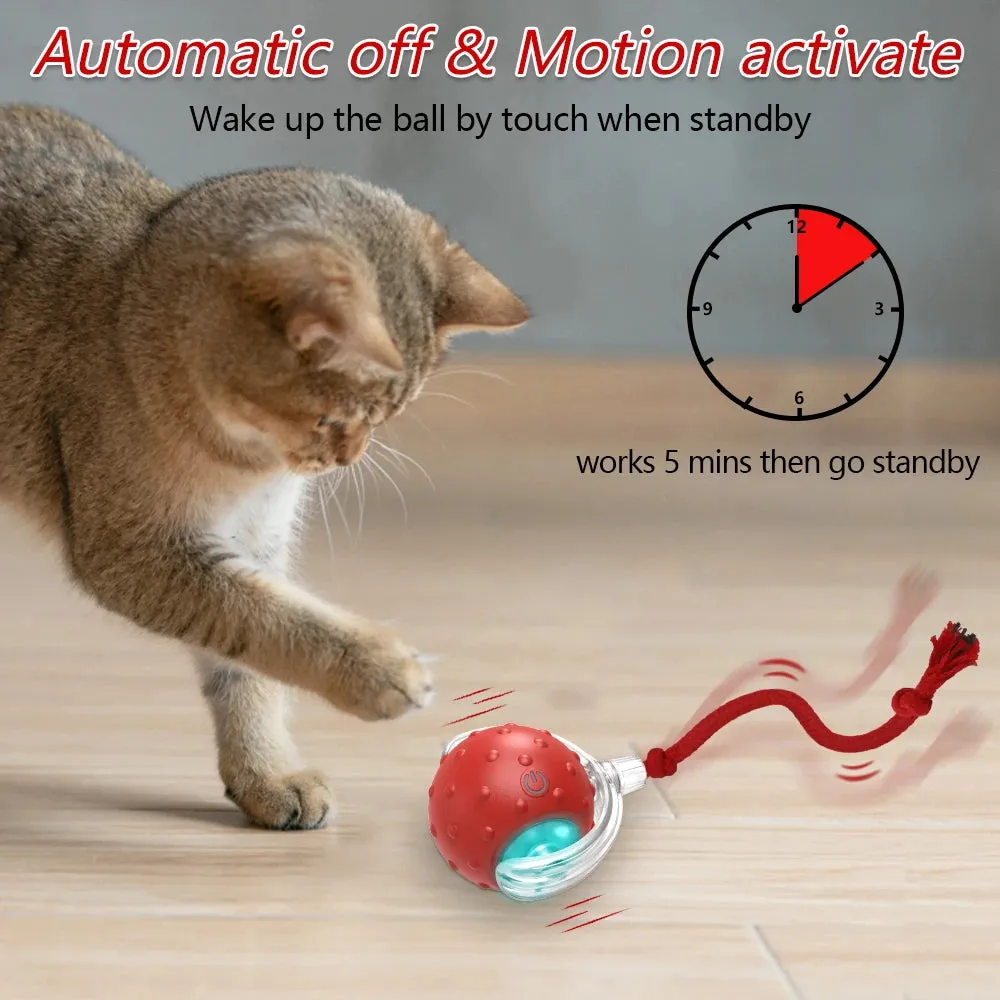 YOUR Cat Will LOVE this interactive 
Toy