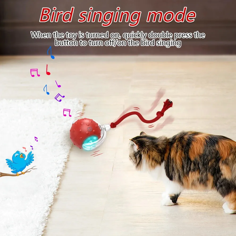 YOUR Cat Will LOVE this interactive 
Toy
