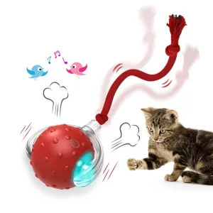 YOUR Cat Will LOVE this interactive 
Toy