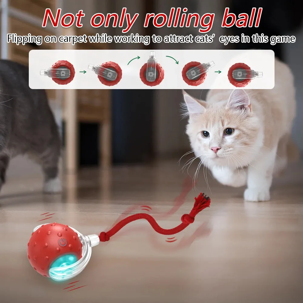 YOUR Cat Will LOVE this interactive 
Toy